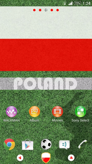 Poland_1_result-315x560